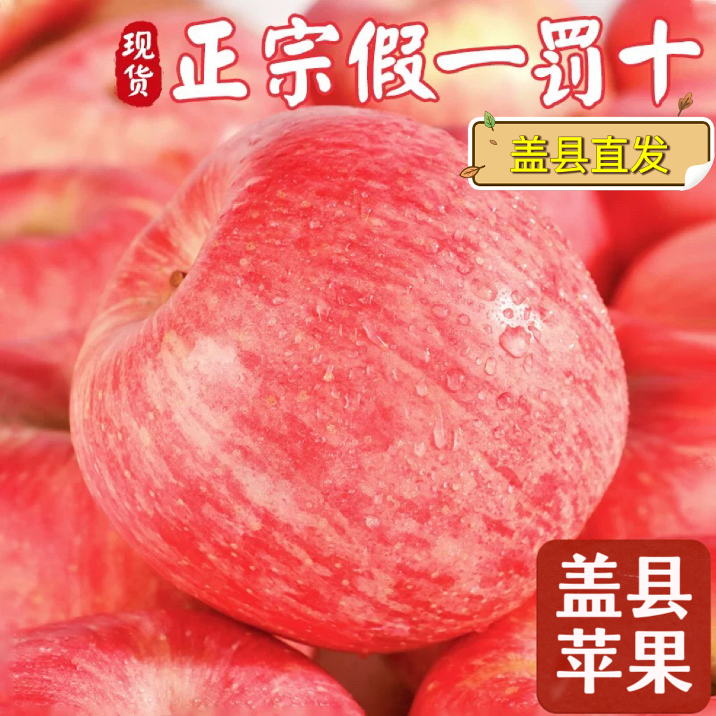 2025新果辽宁盖县红富士寒富士新鲜水果酸甜苹果天然绿色甜脆苹果