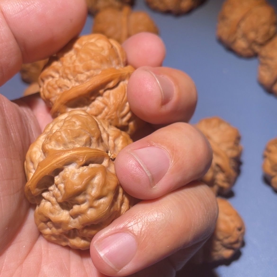 【闪购商品】文玩核桃吊坠南**南38尺青蛙