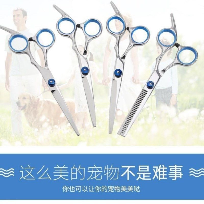 宠物美容剪刀狗狗剪毛工具套装专业修毛剪狗毛弯剪子泰迪理发神器