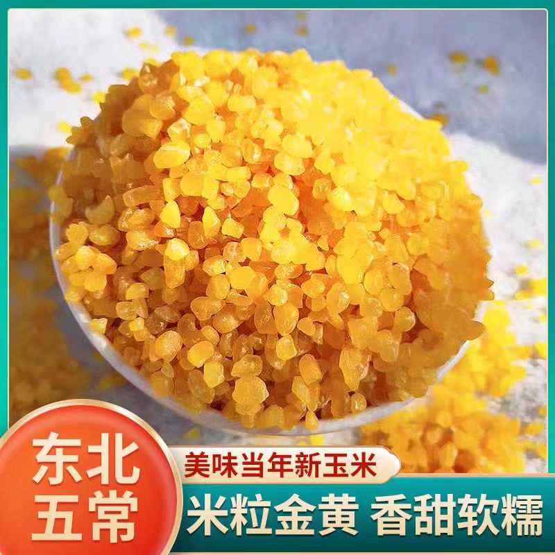 凤稷世稼2025年.青稞玉米碴寒地黑土种植米饭伴侣 营养好味道