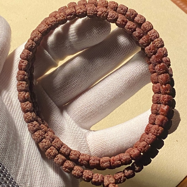 佛手小金刚小金刚龙切五爪金龙龙脊连贯颗颗精挑下水精挑颜色统一