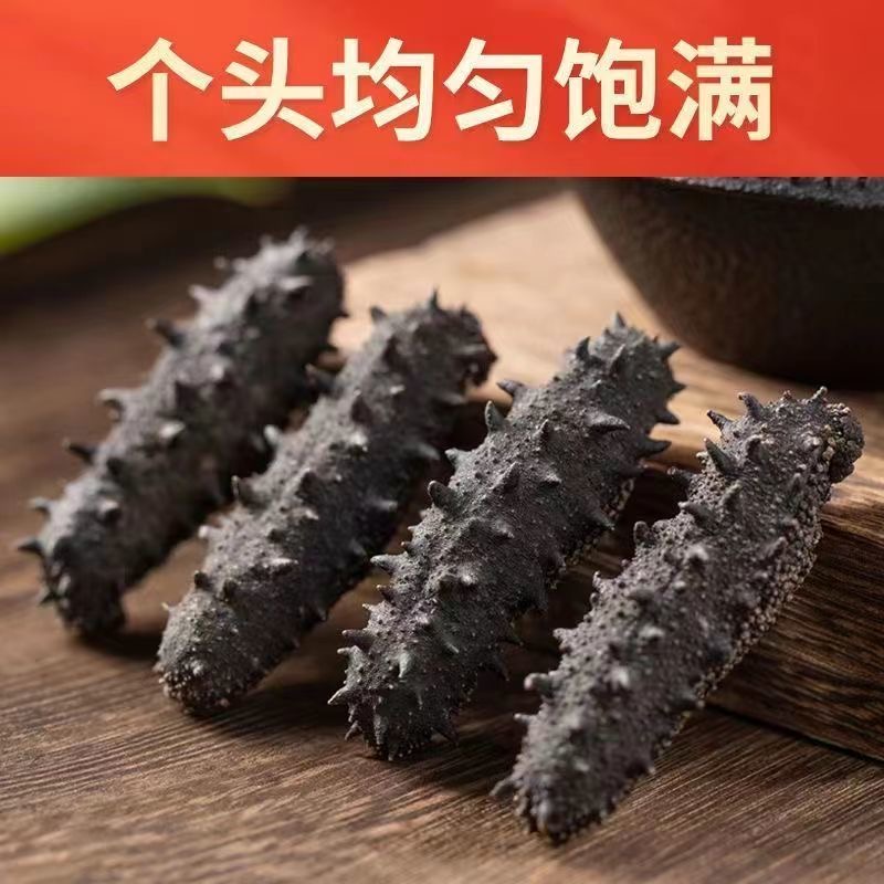 野生海参辽参干货刺参营养食用滋补淡干海参海底烹饪美味品质