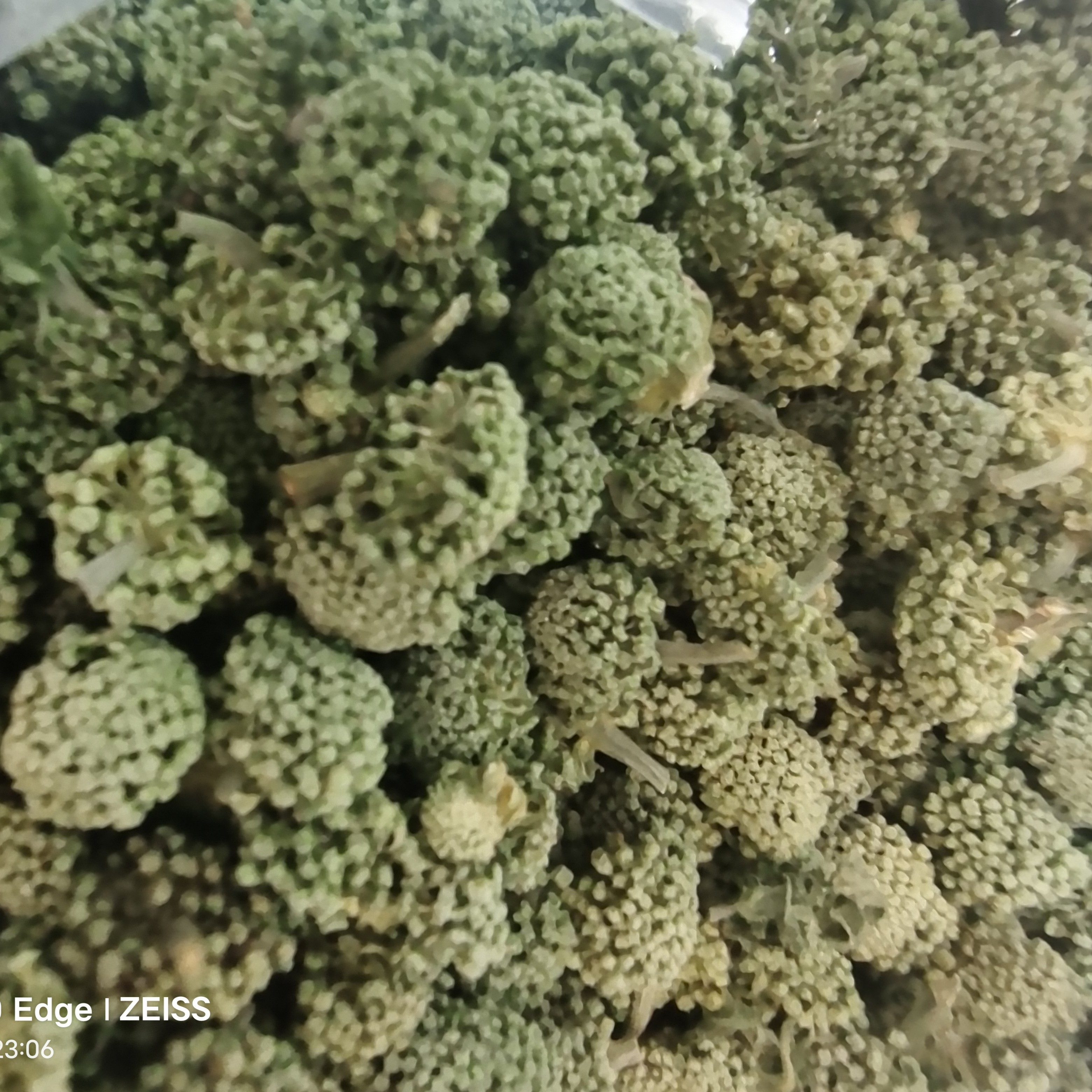 文山三七花（云南高原特色产品）泡水煮水喝【喻村长精选】