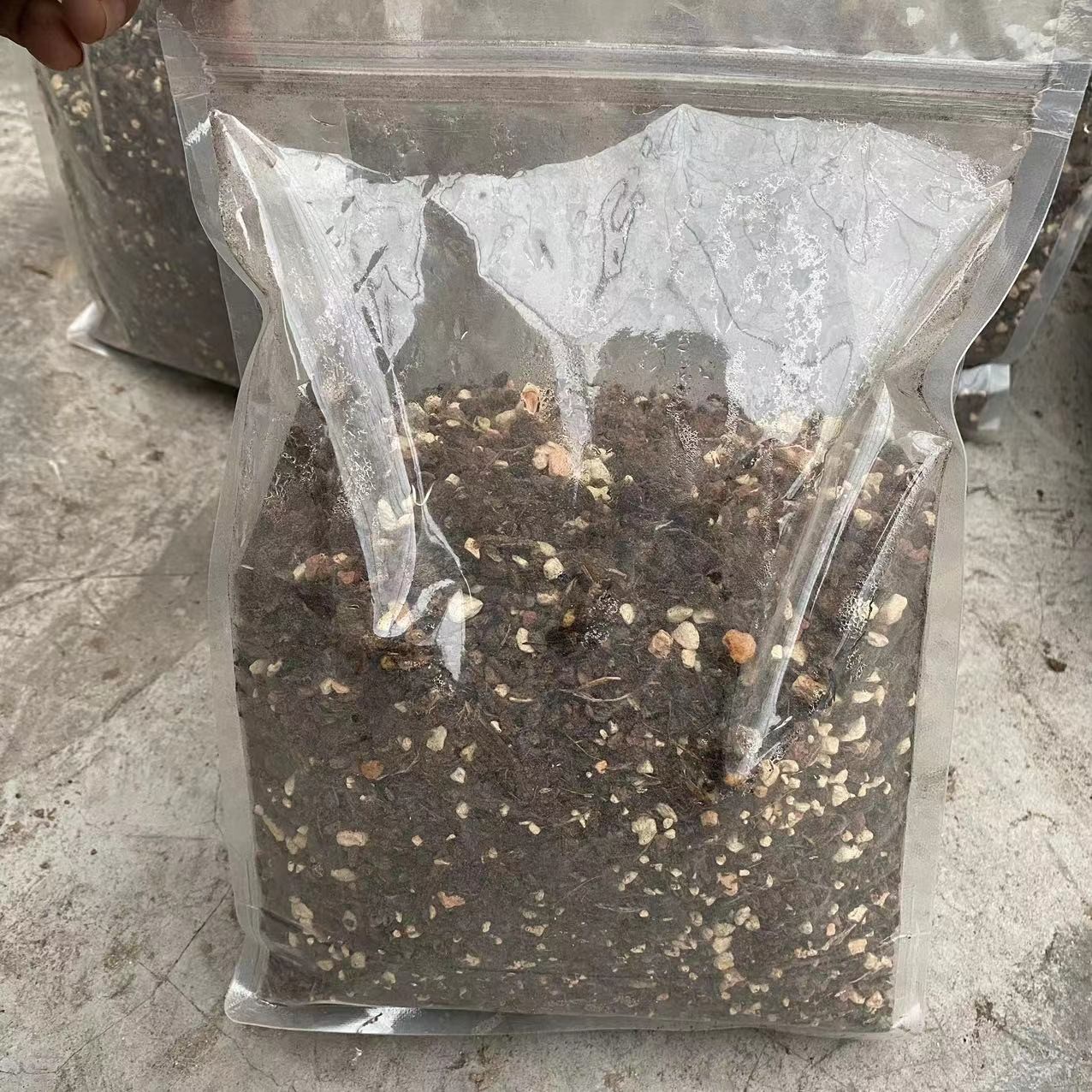 【70%颗粒】水泡多肉专用配方基质3~6mm透气排水  七方盆装12个