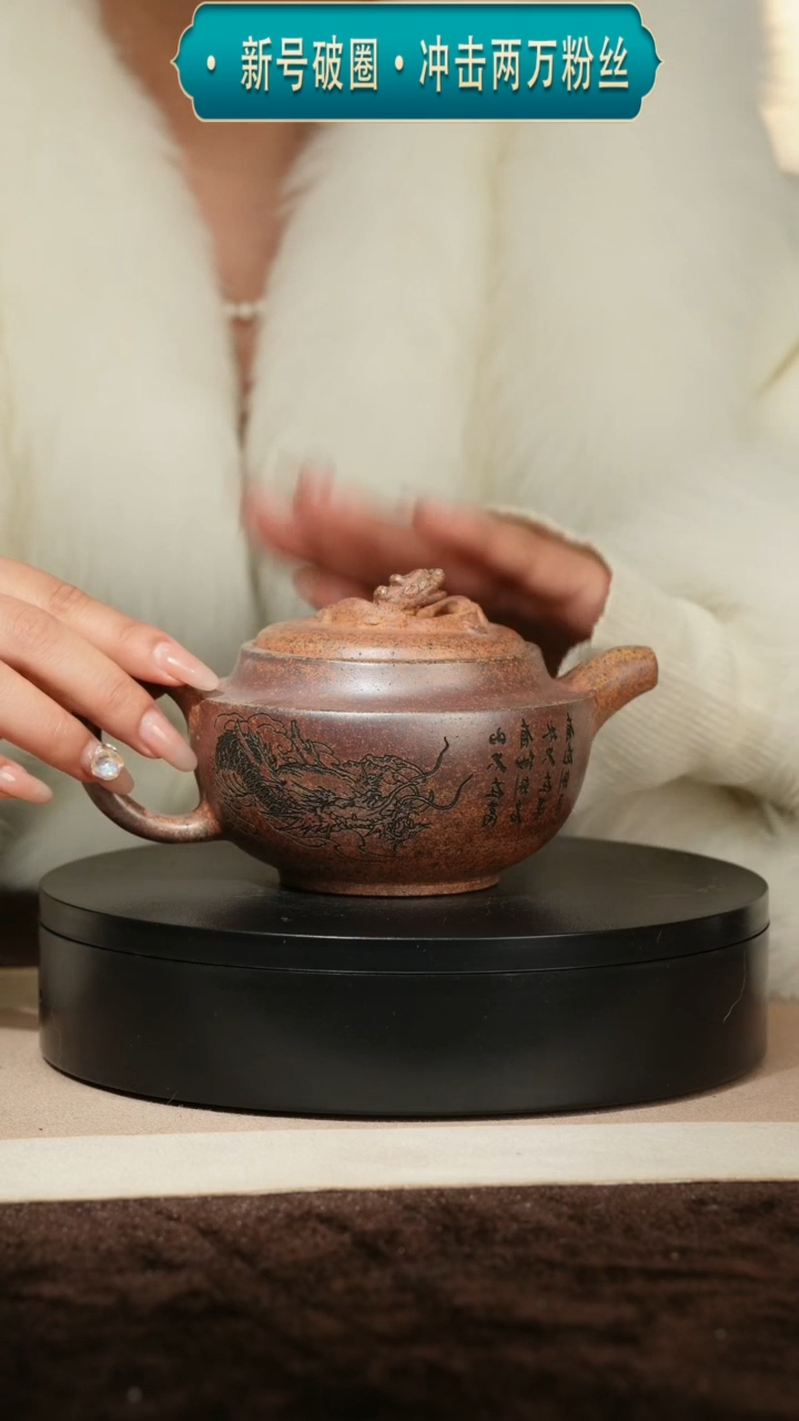 【闪购商品】紫砂茶壶16柴烧婉韵壶