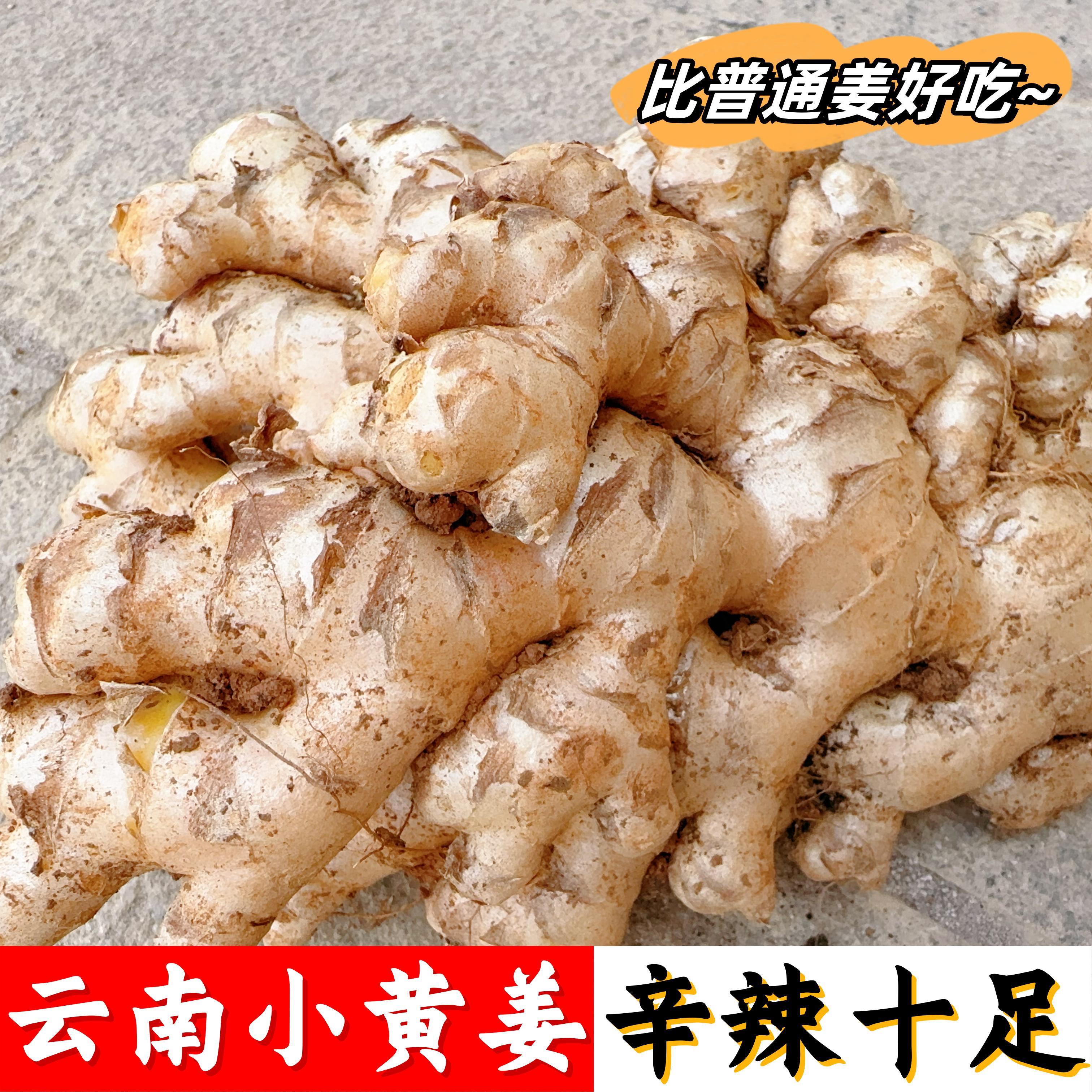 【正宗云南精品小黄姜】鲜姜老姜土姜嫩姜超低价0.5-9斤坏果包赔