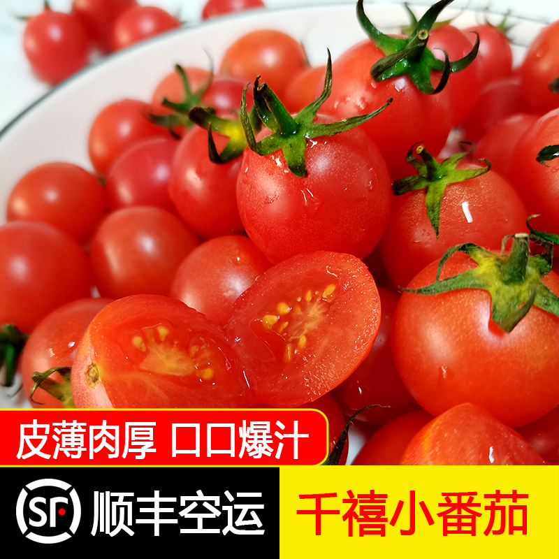 【顺丰空运】正宗新鲜千禧圣女果2斤樱桃小番茄当季现摘孕妇水果