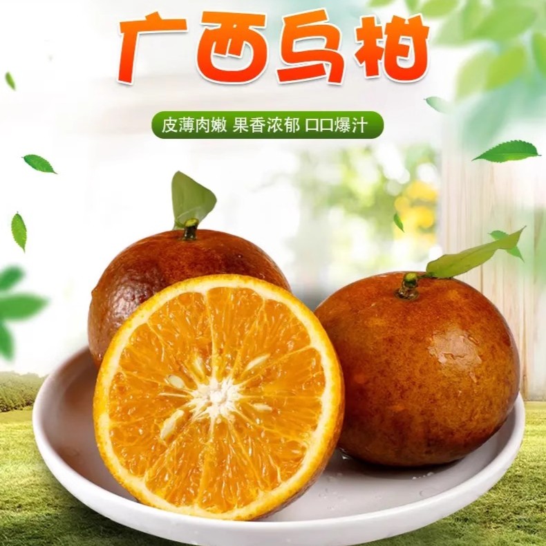 广西现摘新鲜超甜乌柑非洲黑柑丑果粒皮薄柑桔子当季现发黑皮沃柑