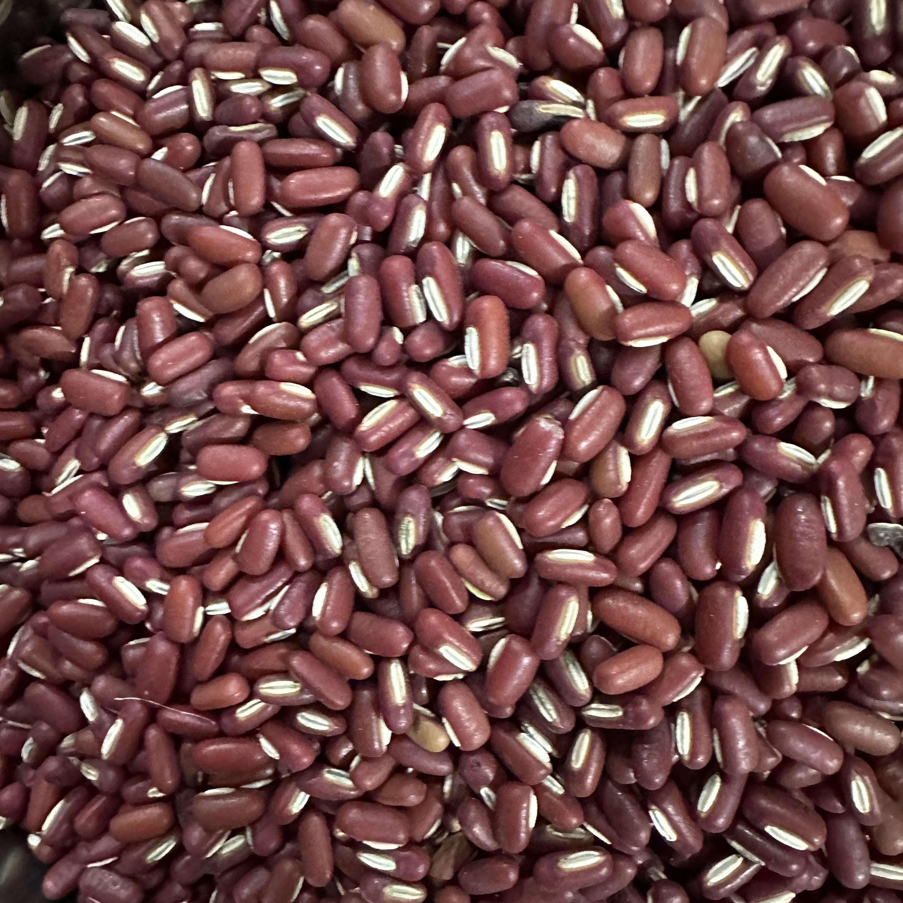 2025年新赤小豆红豆熬粥应季农民自种非转无加工不抛光打蜡不熏蒸