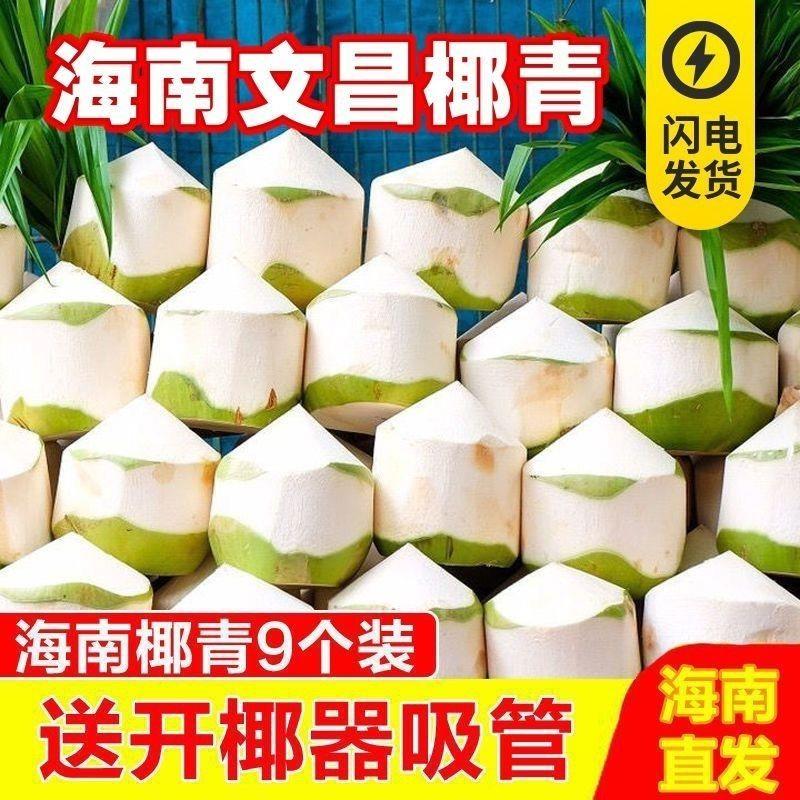 新鲜现摘海南新鲜椰青椰子椰肉椰皇椰宝6/9当季孕妇水果整箱批发
