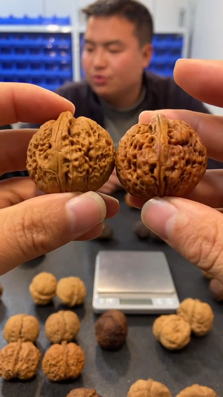 【闪购商品】文玩核桃把件双龙戏珠38mm（一物一图）