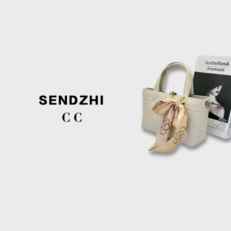 【尚恩CC】SKL-5179-白色-RAIN.CUN轻奢小众时尚百搭女士包包