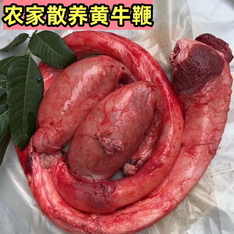 牛鞭新鲜全套包邮冷冻冻批发全套牛三宝牛鞭牛蛋食材牛鞭生鲜全套