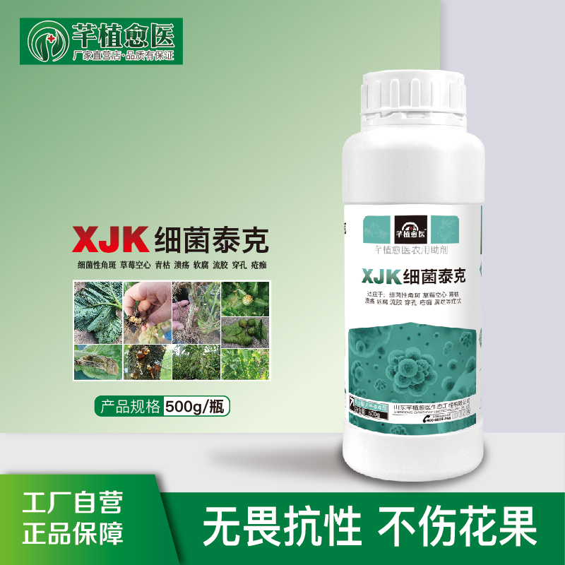 细菌泰克 500g专治细菌性角斑 青枯 溃疡 软腐 流胶 农用助剂