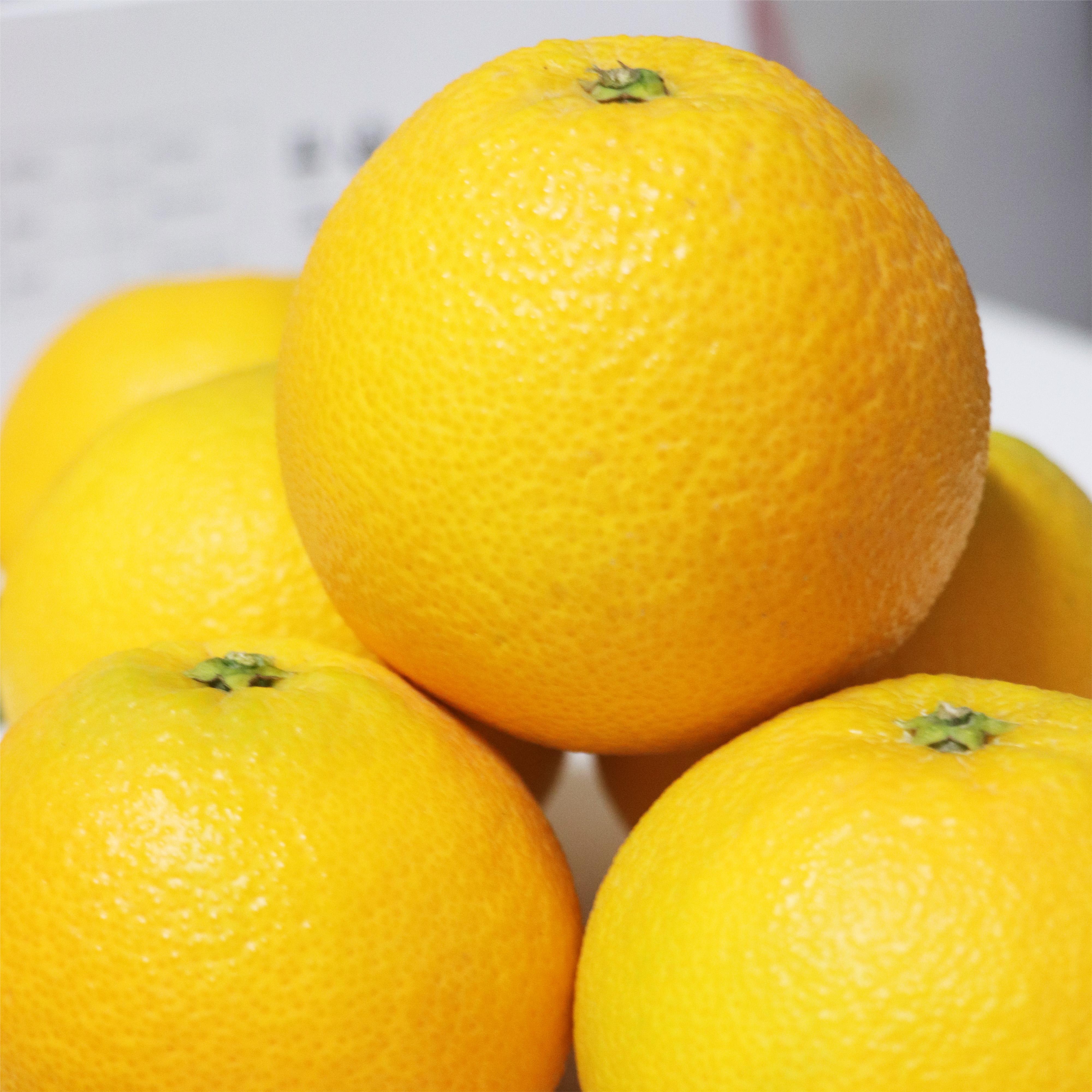 【一哥（船长）甄选】九月红脐橙当季新鲜水果 小果中果多规格