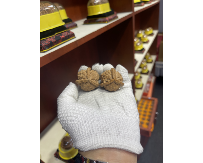 文玩核桃白狮子正奔