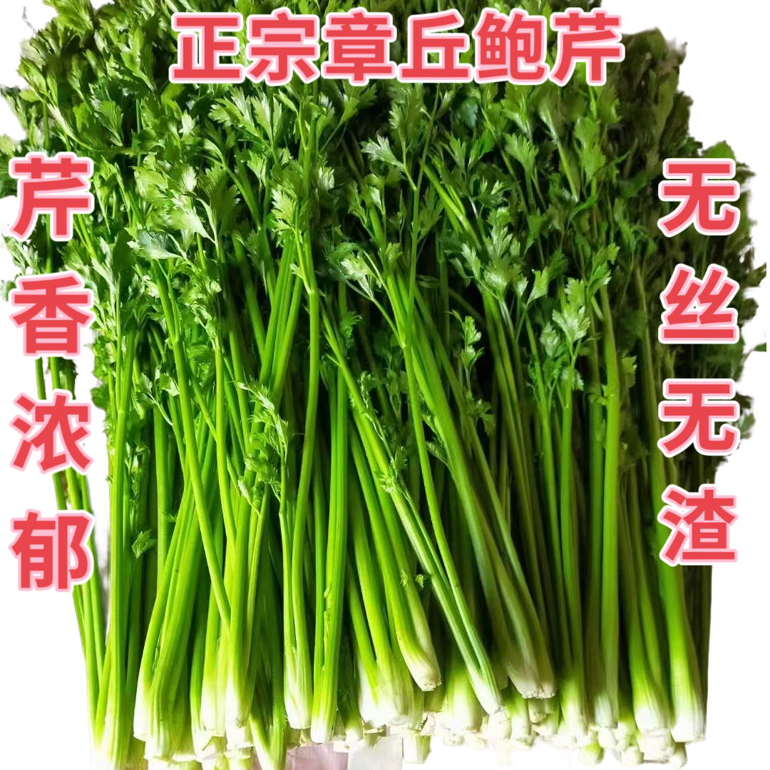 章丘鲍芹礼盒3根半鲍芹芽可生吃现摘现发精选