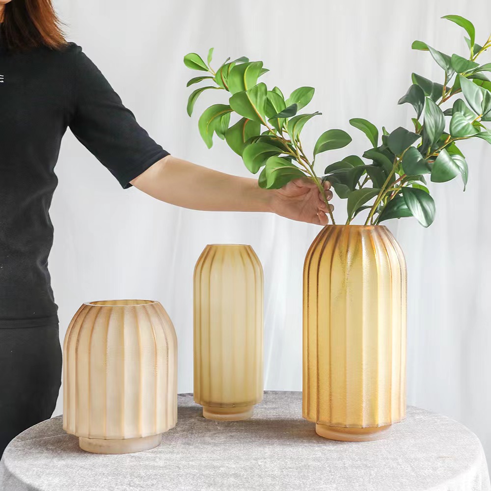 【一物一拍孤品】简约现代花瓶大肚玻璃透明客厅插花绿植花器摆件