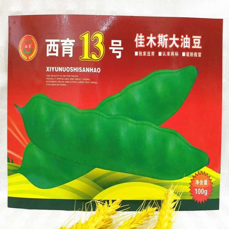 油豆角种子早熟开锅烂无筋西育13号油豆籽大面积春秋100克包邮