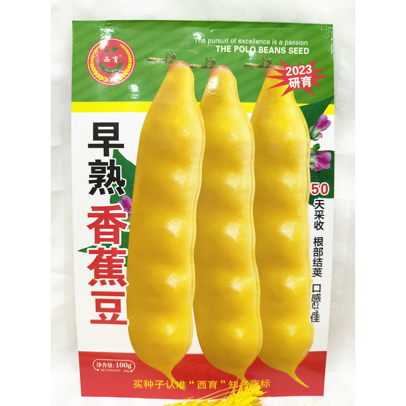 西林西育蔬菜种子籽早熟香蕉豆豆角种子大黄金钩种子籽宽豆100克