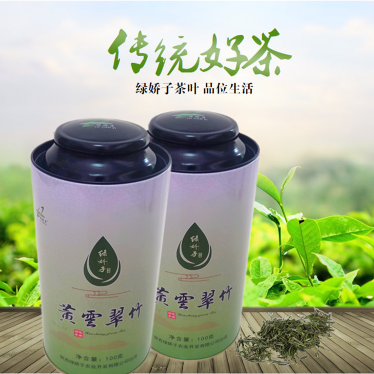 【2025新茶上市】绿娇子牌春季明前汉中绿茶黄云翠竹100g罐装