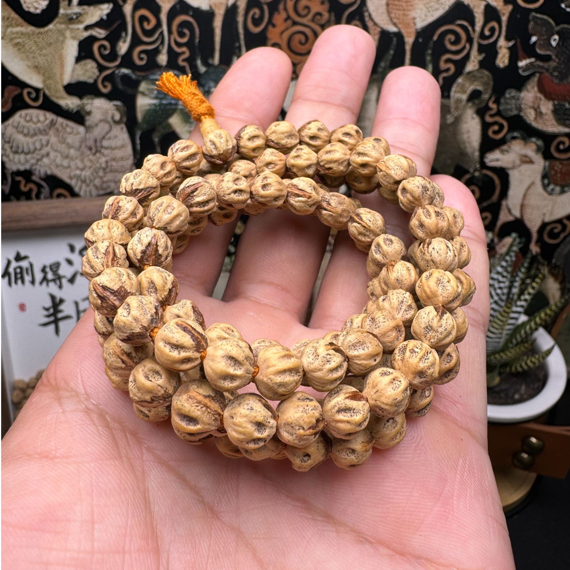 《热振柏香》 原桩微磨红牙口对眼尸陀林7mm柏香籽