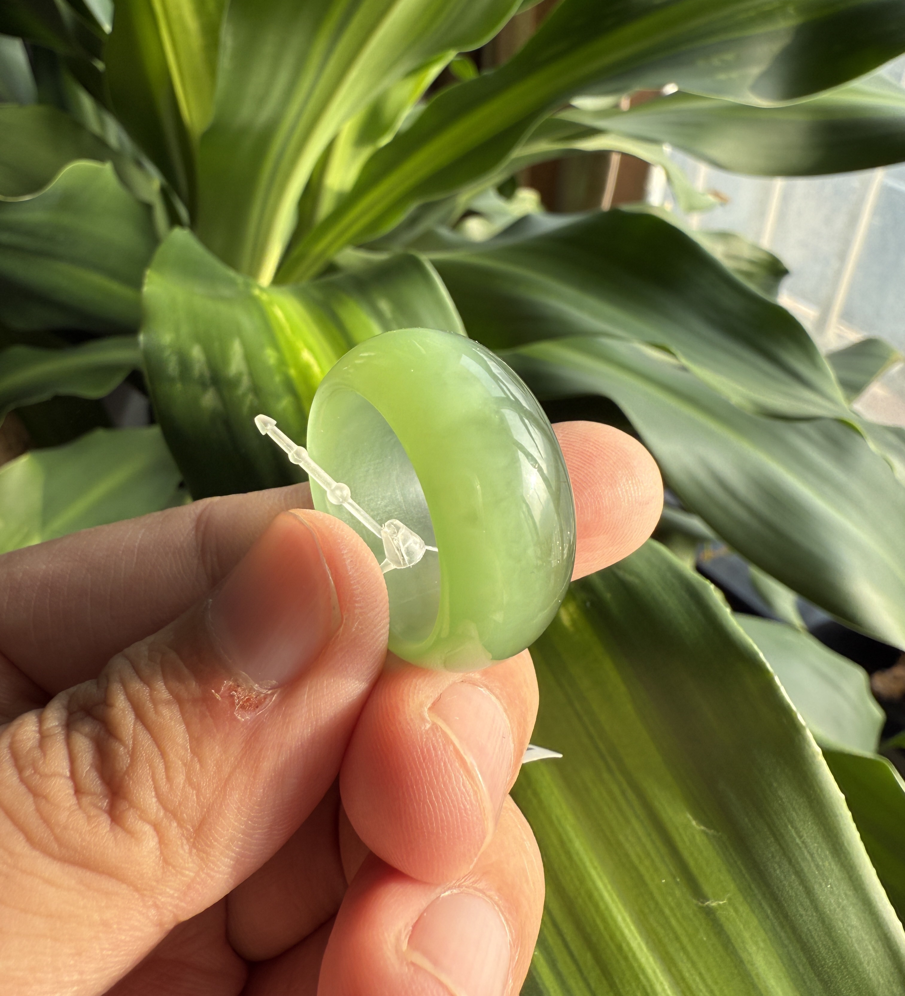 和田玉碧玉冰底金绿猫眼扳指内径21毫米9.4克