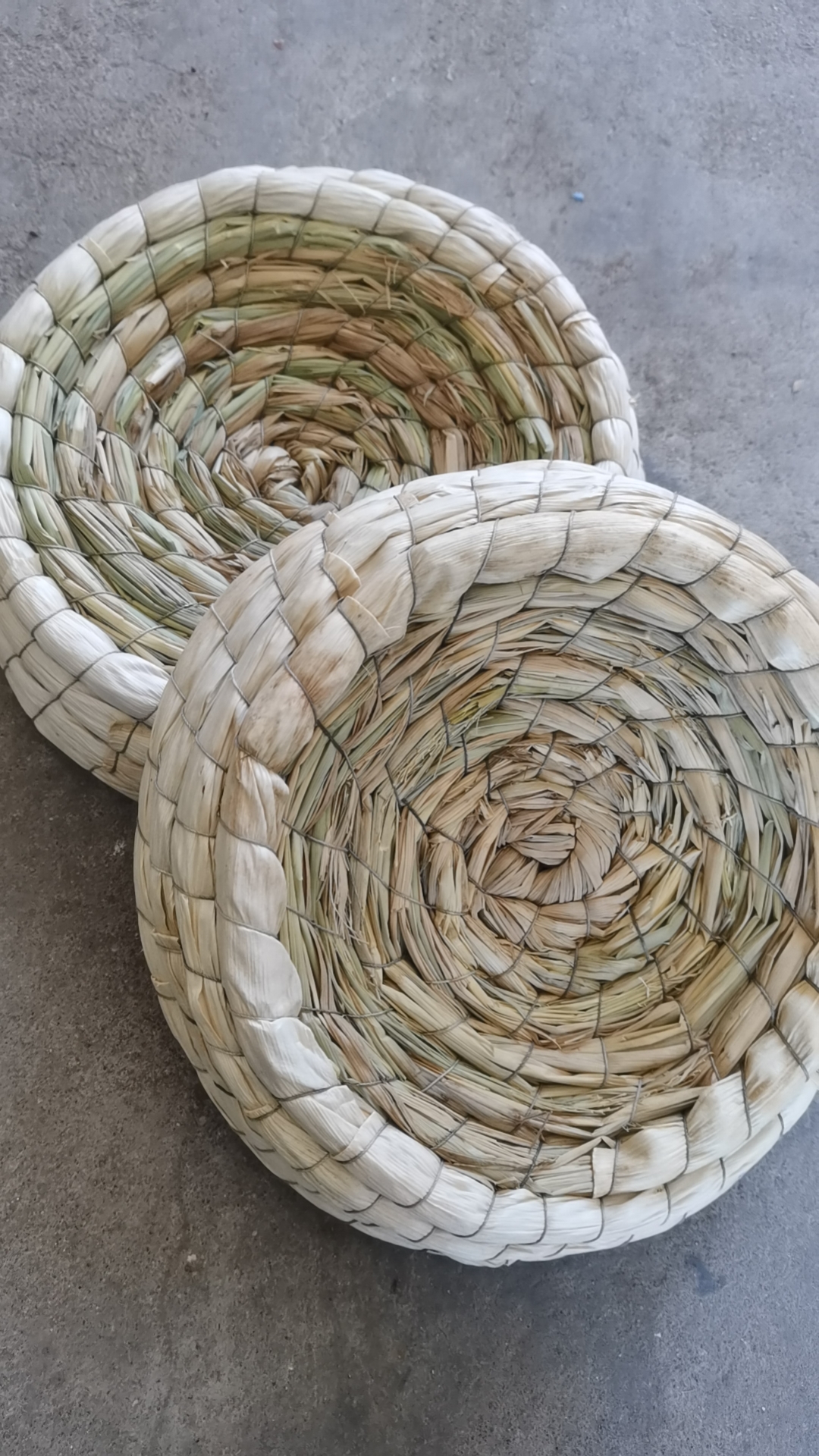 信鸽用稻草草窝 