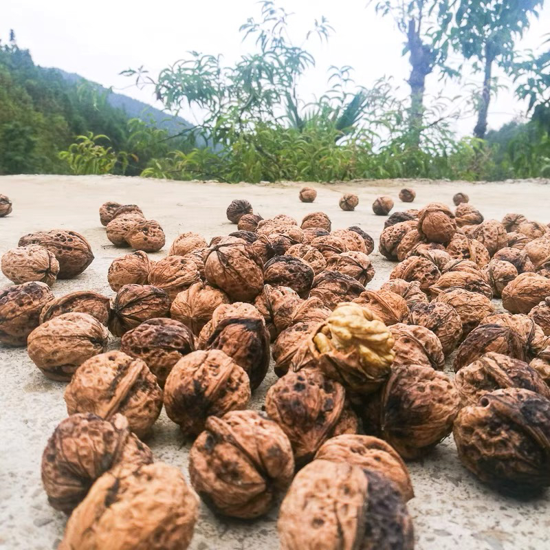 恩施农家核桃3斤包邮