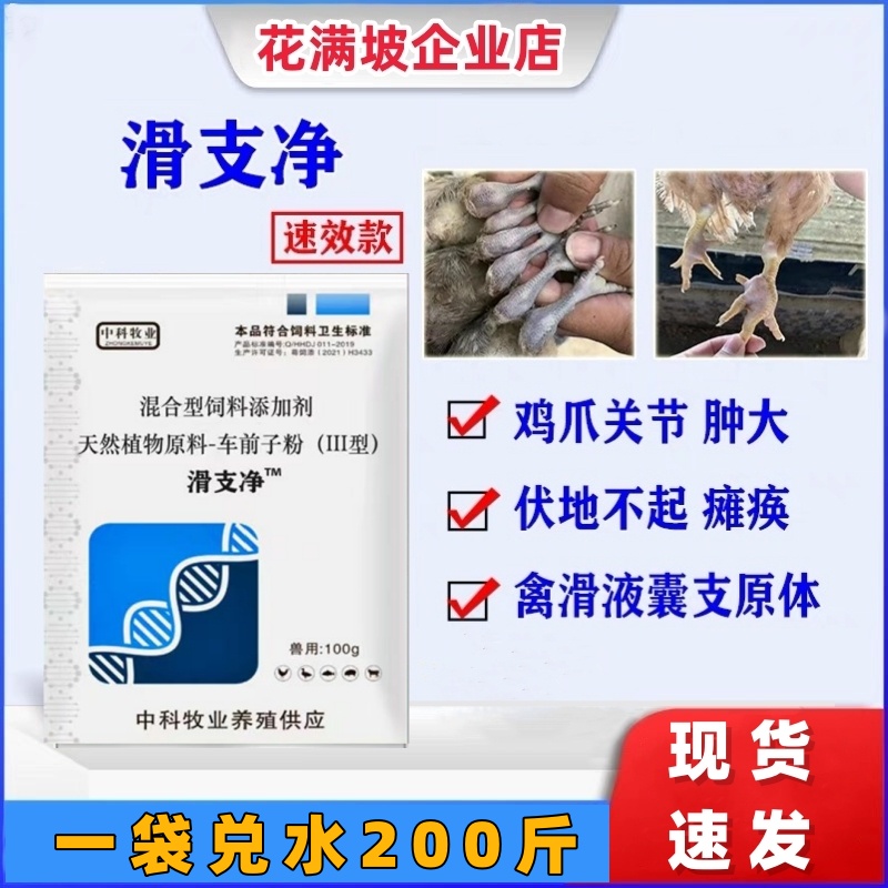 滑支净兽用滑囊速净鸡鸭鹅家禽鸡滑液囊支原体滑膜严腿关节胀大