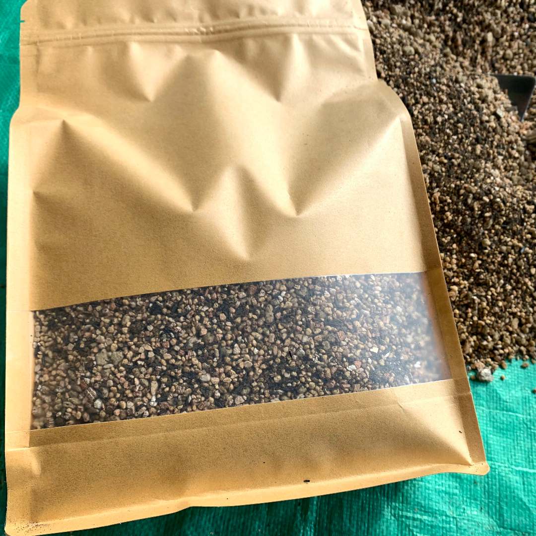 番杏肉锥专用成株土（看主页了解拌土过程）