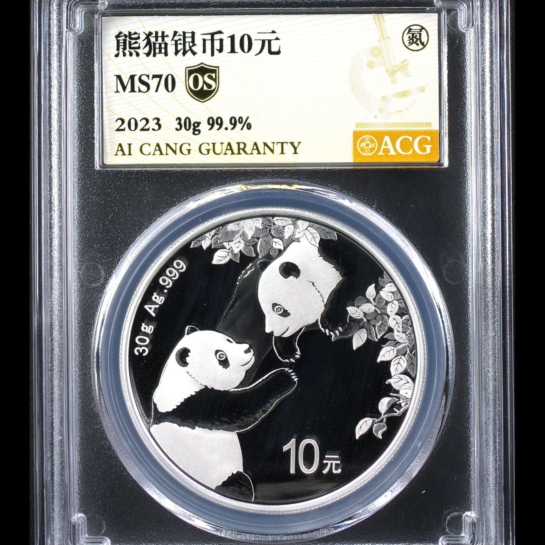 MS70分 2023年熊猫银币  金标OS  30克 