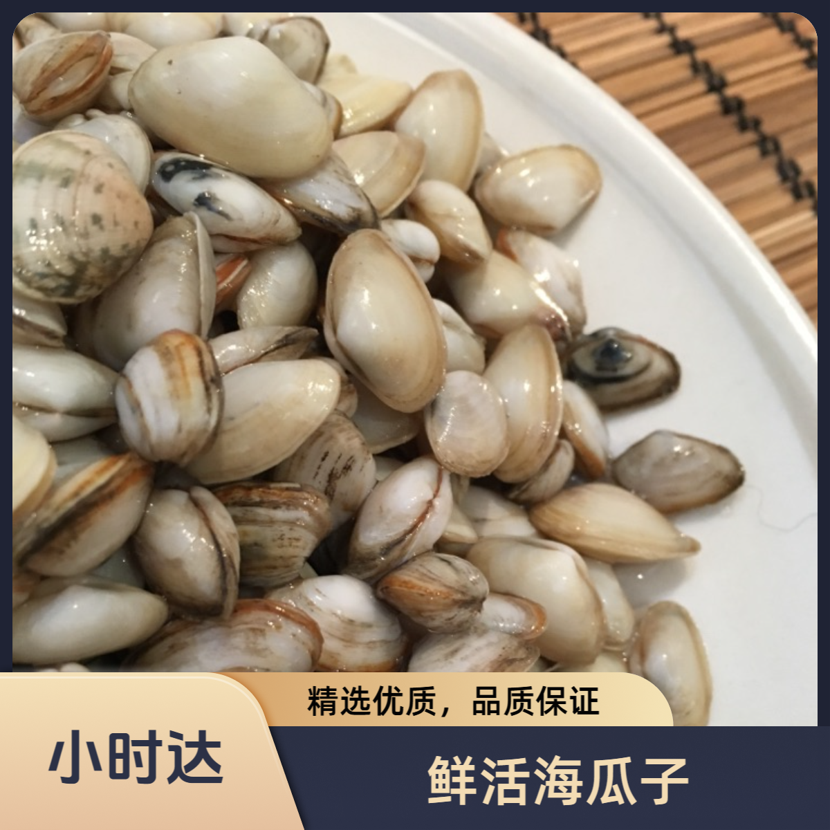 鲜活海瓜子约500g