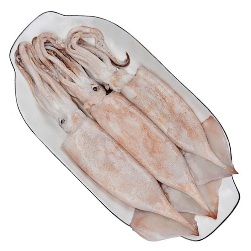 连云港发货 特小号鱿鱼 烧烤 铁板  公司团建家庭聚餐必备 