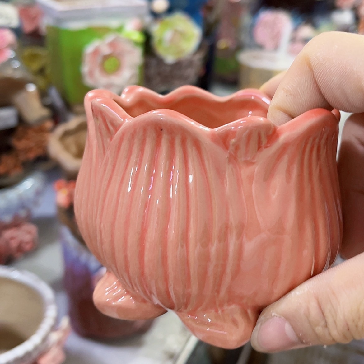 【闪购商品】红陶20CM以下