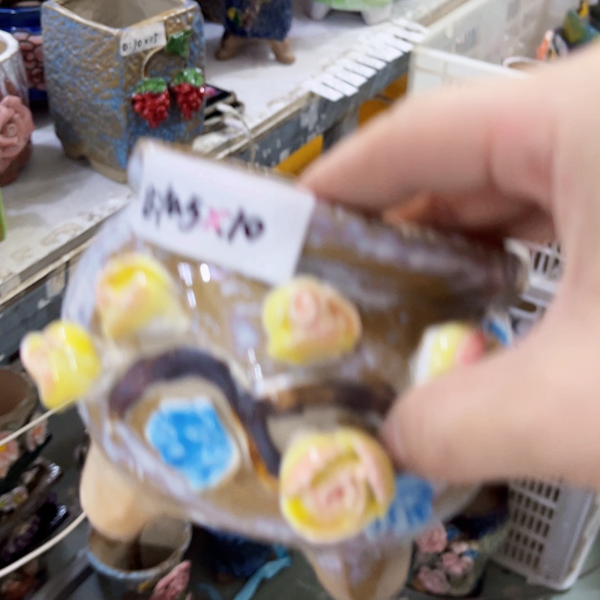【闪购商品】红陶20CM以下