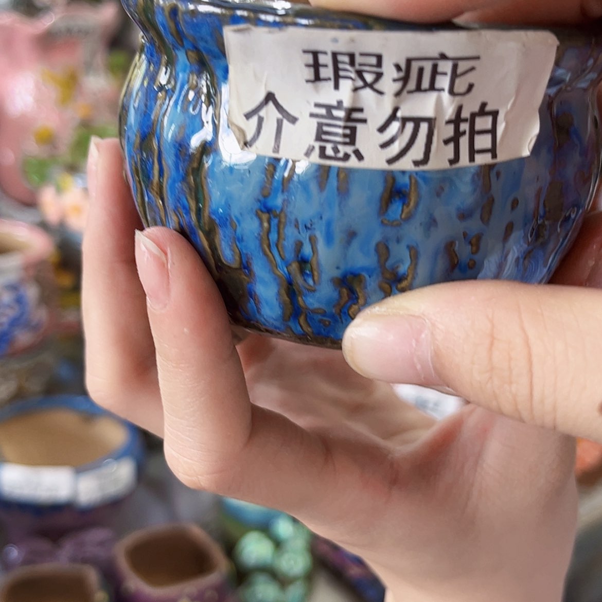 【闪购商品】红陶20CM以下