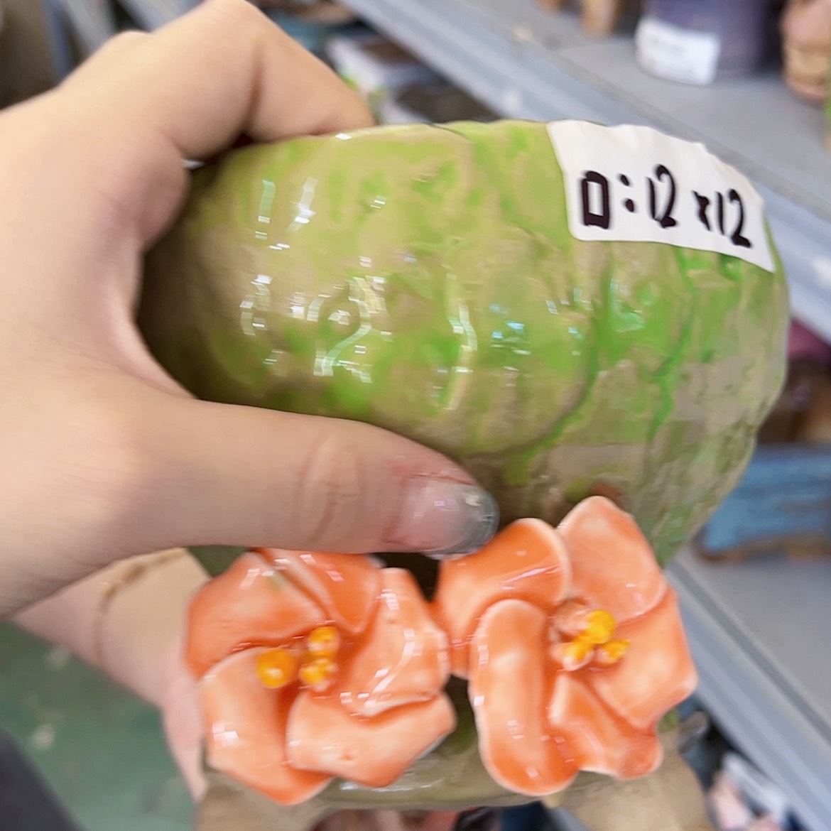 【闪购商品】红陶20CM以下