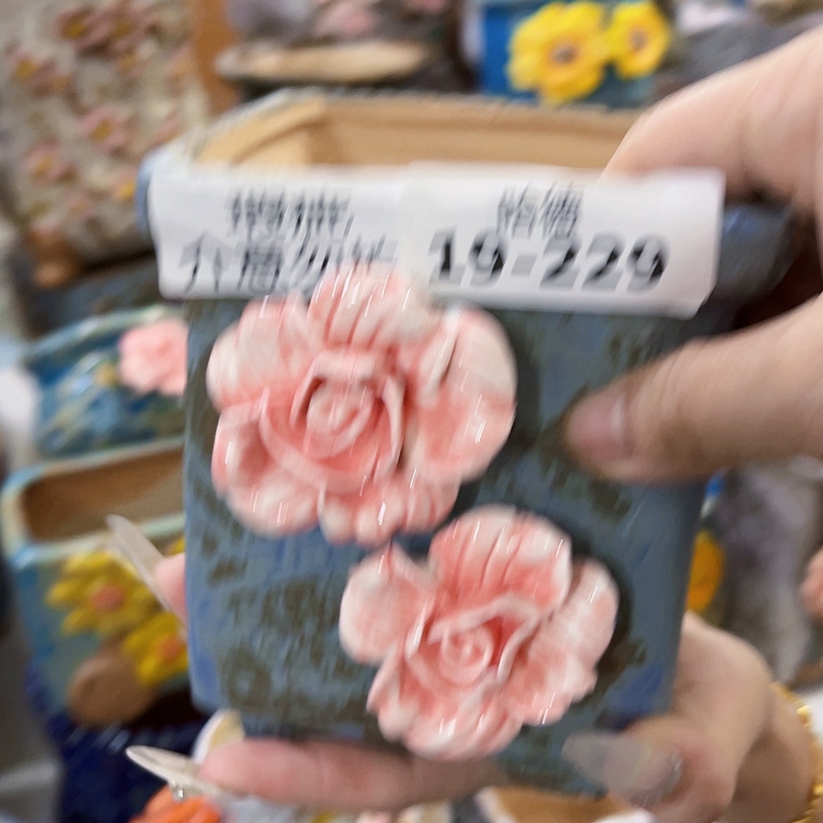 【闪购商品】红陶20CM以下