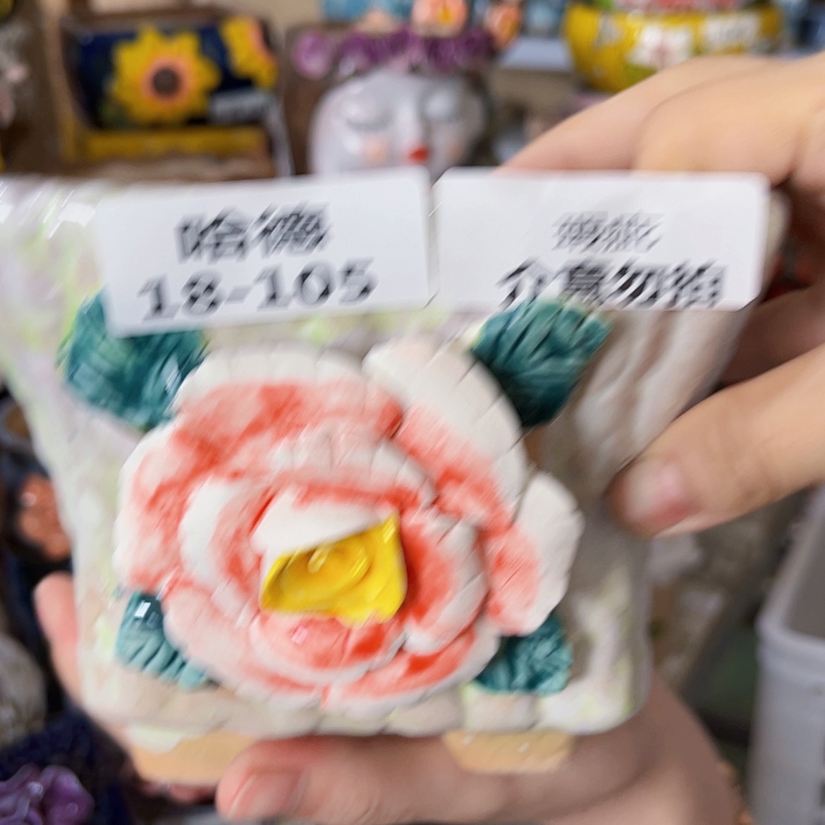【闪购商品】红陶20CM以下18105瑕疵