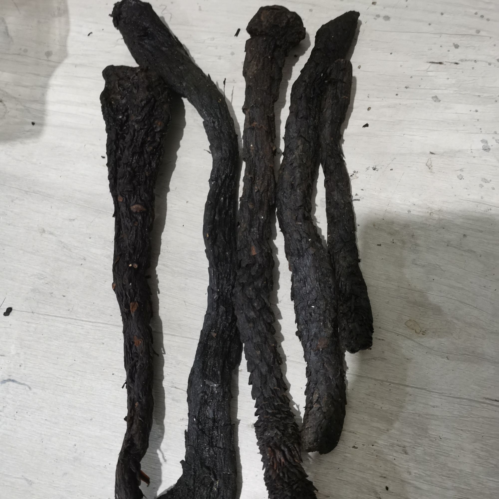 新疆-R蓉 新疆种植的整根的 蒸过的 打包凑秤会剪断