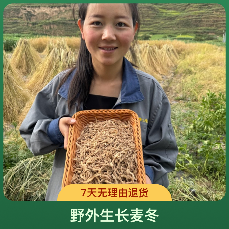 【老麦冬】野外生长麦冬大小不一品相不好看但是好用