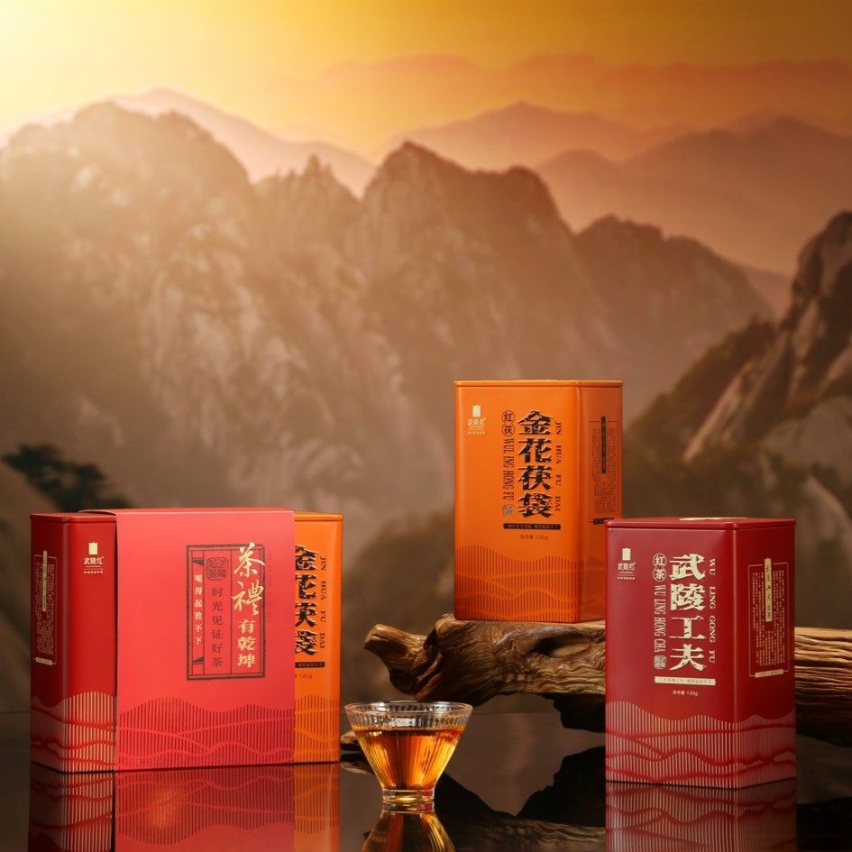 武陵红茯金花茯袋120g+武陵工夫红茶120g