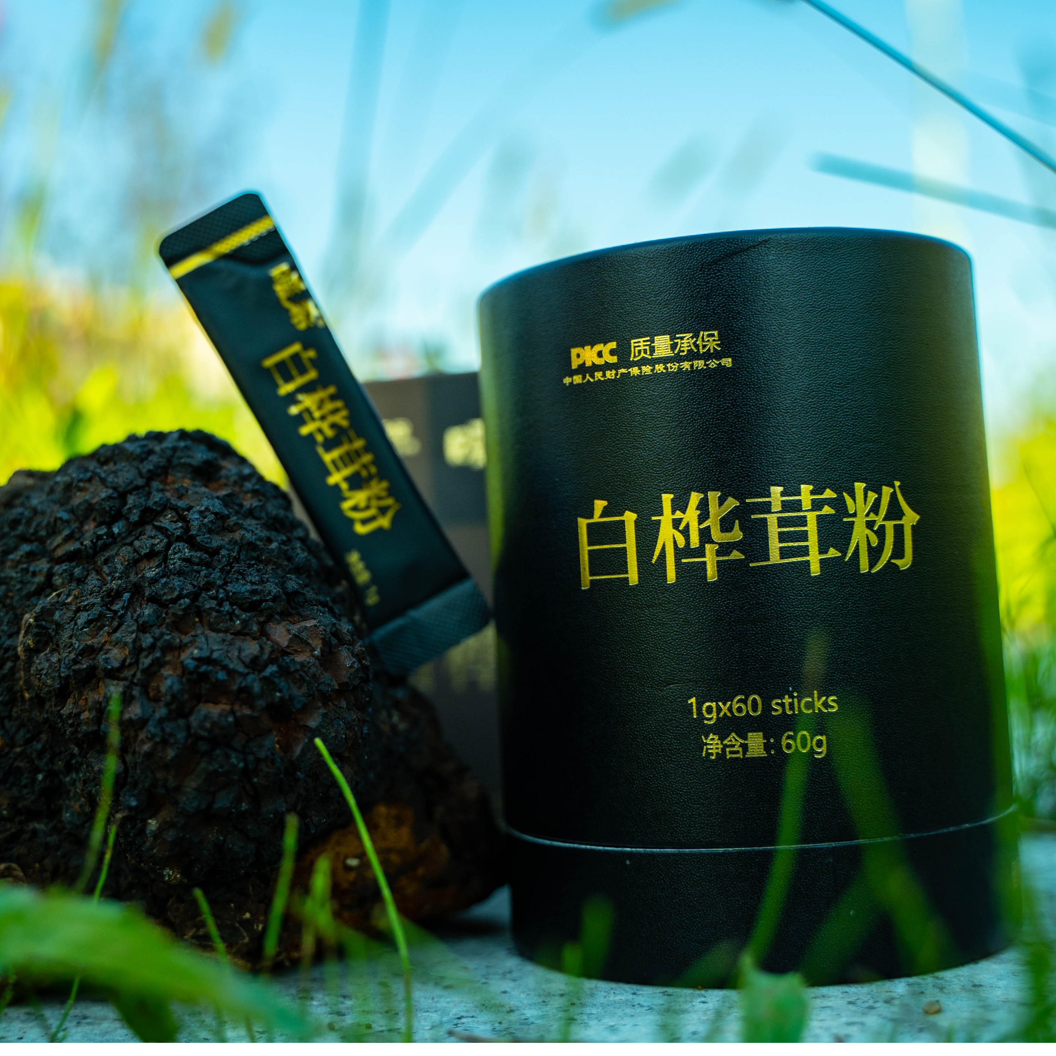 暖希养生白桦茸健康净含量60克新品桶装方便饮用精品冲调营养浓缩