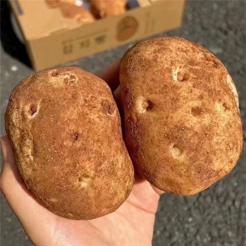 【新品专属】壹得利土豆面包网红早餐黄油味夹心糕点心休闲食品