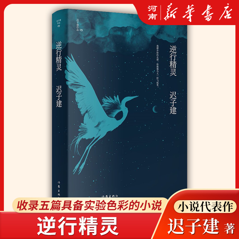 迟子建作品集 小说集精装单选茅盾文学奖、鲁迅文学奖得主