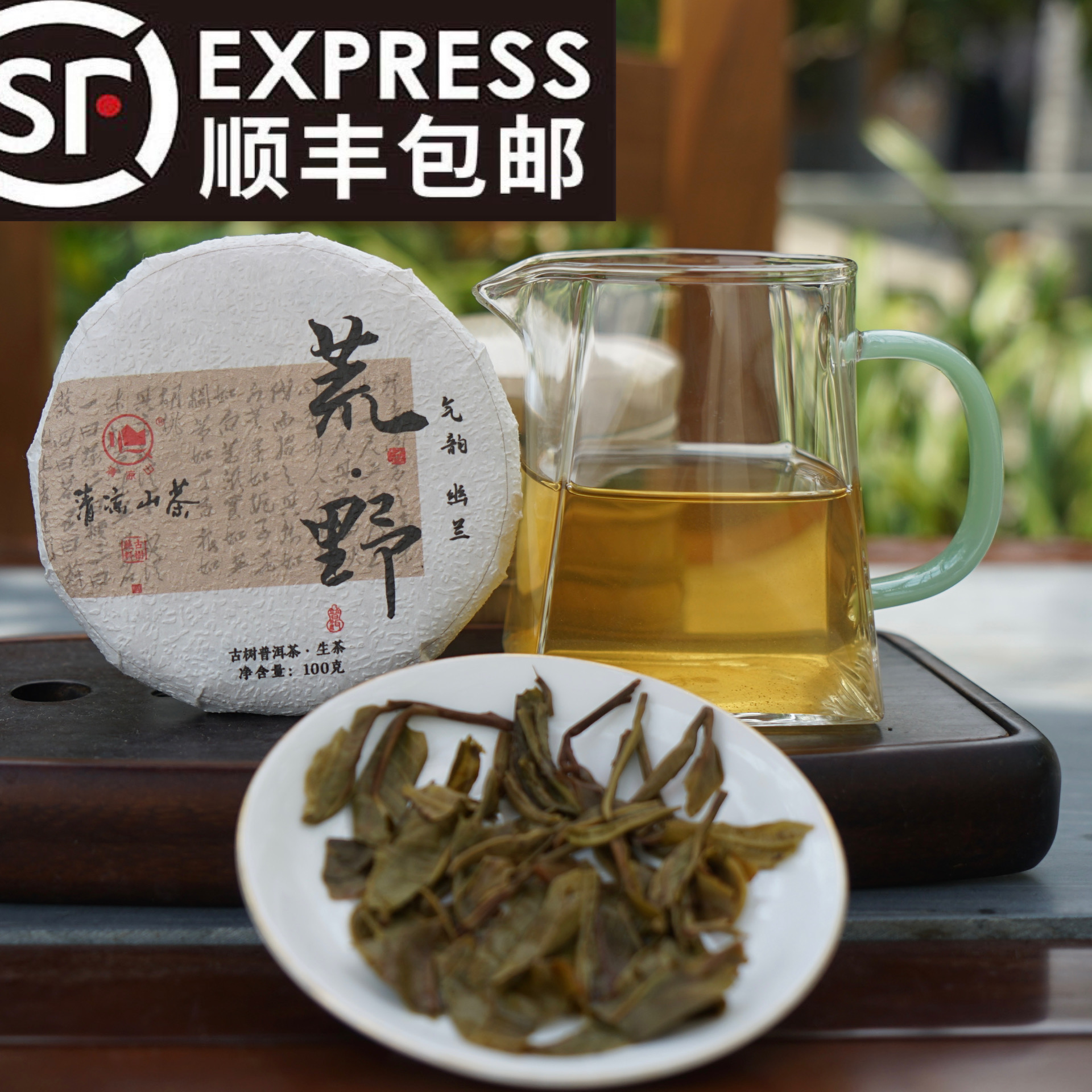 清凉山【真·清凉山--荒野古树生茶饼】-2024年真产区深山茶100克饼