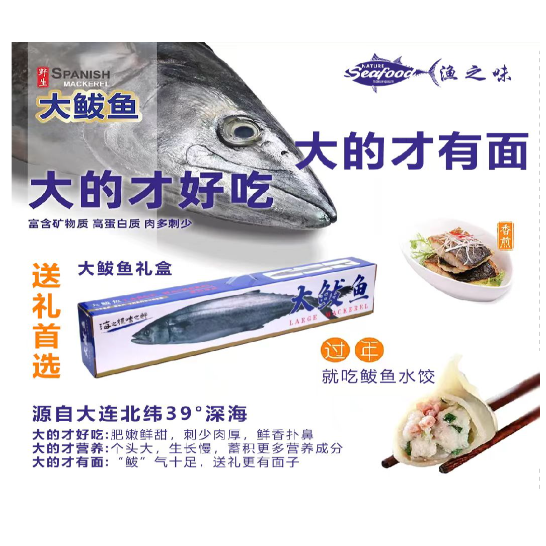 渤海湾海捕大鲅鱼送礼必备