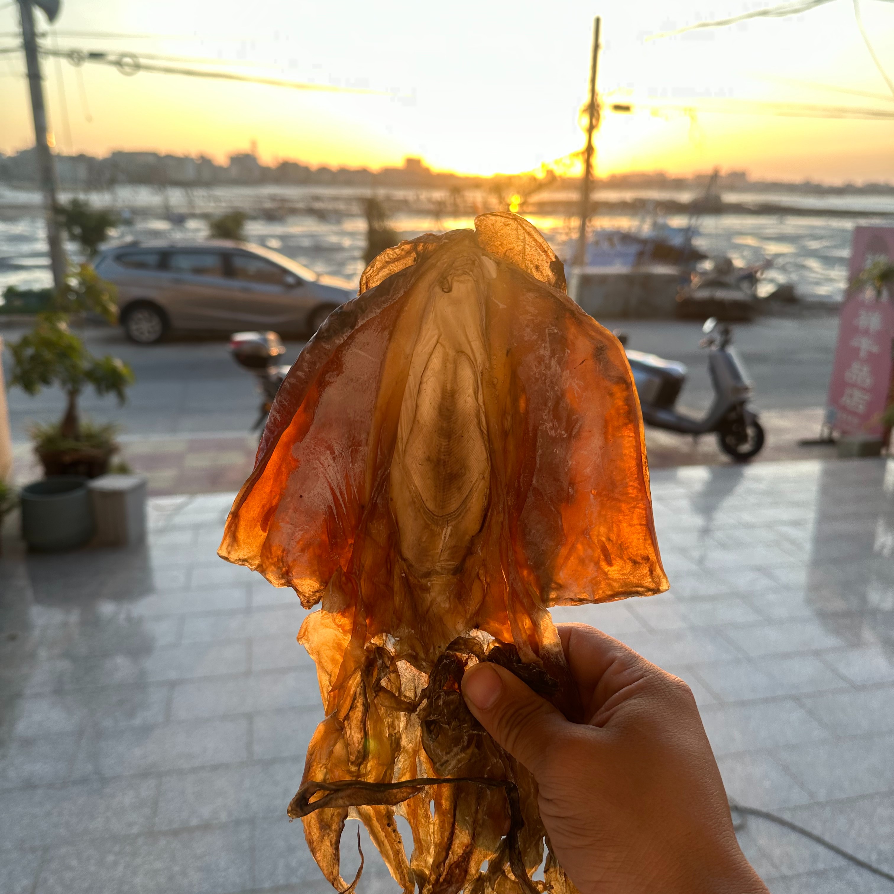 qihexiang/祺和祥福建特产淡干墨鱼3-4只斤炖汤滋补佳品冬乌