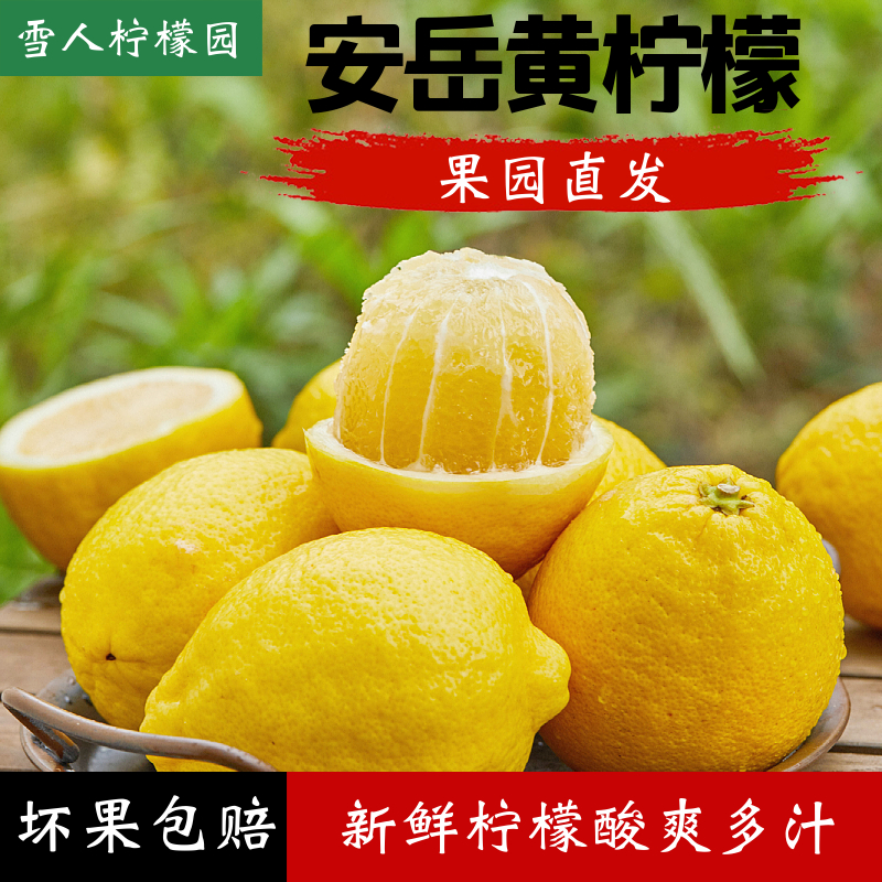 【2025安岳黄柠檬】现摘大果 3/5/9斤产地直发个大饱满酸爽多汁    